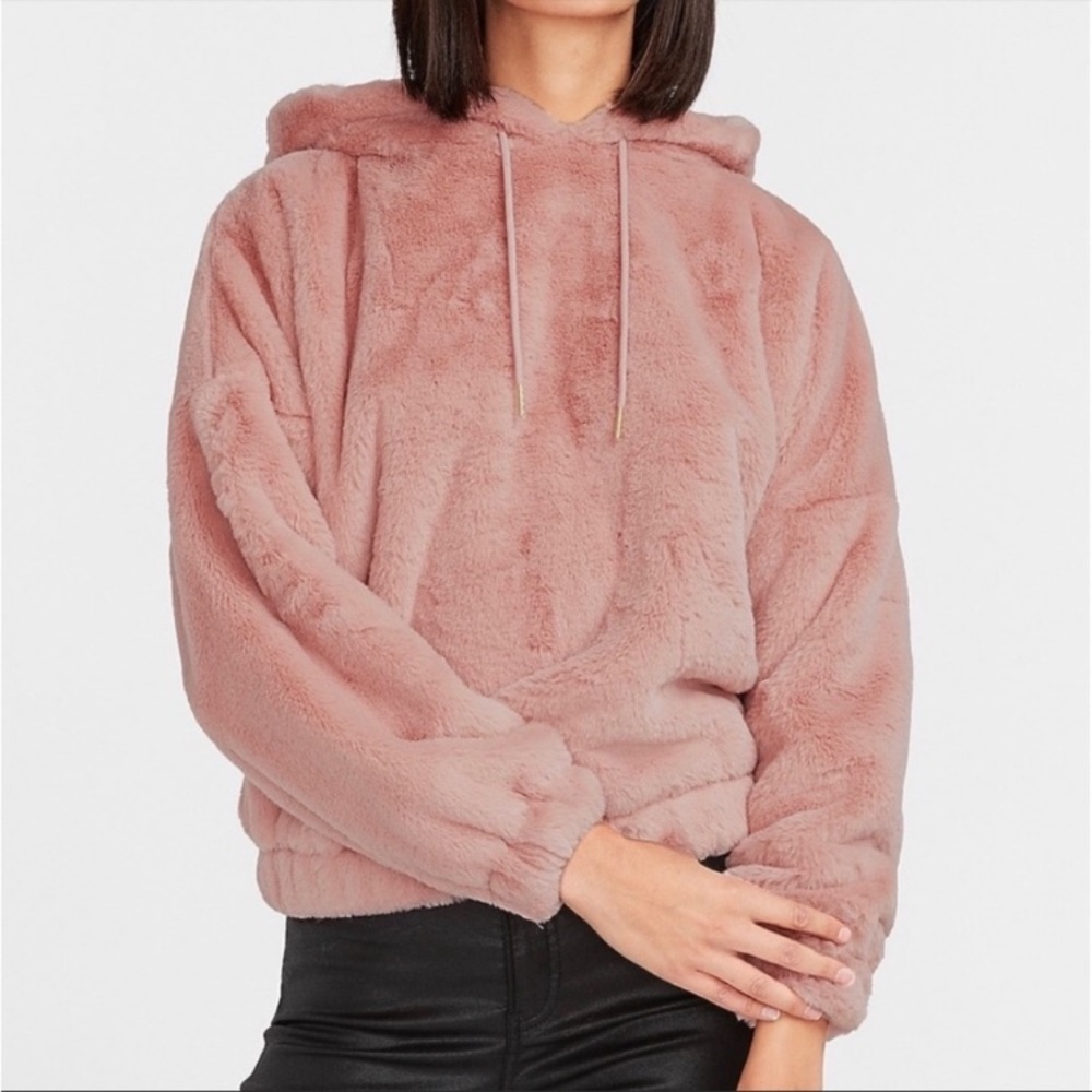 NWTđź’™ Express Super Soft Fuzzy Hoodie - Picture 1 of 14